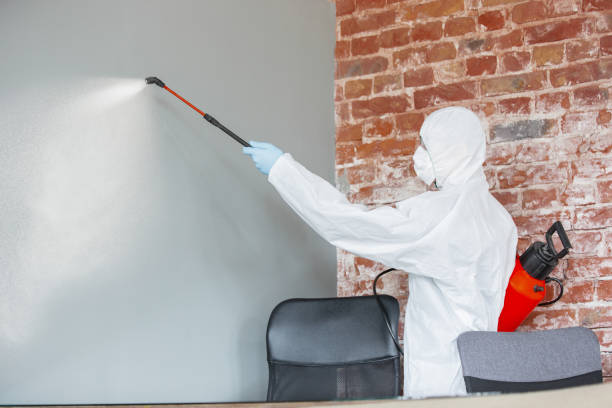 Forensic Mold Investigation in Lakeland South, WA